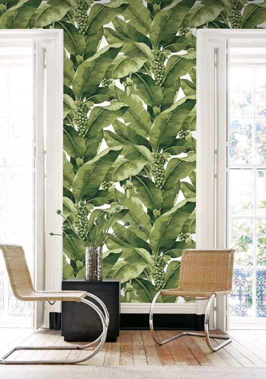 Paradisio Palm Wallpaper by Daisy Bennett