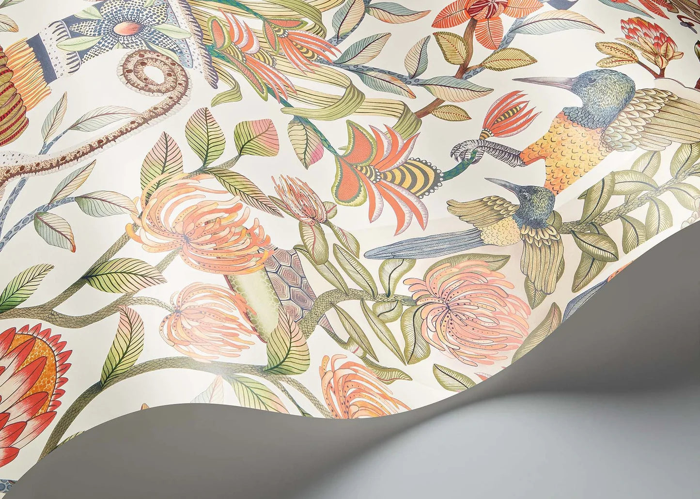 Protea Garden Wallpaper by Cole & Son