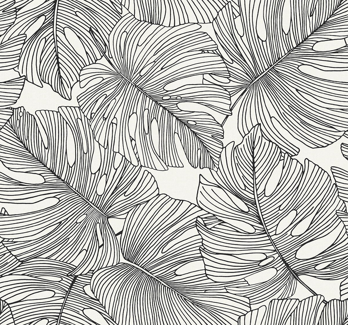 Tarra Monstera Leaf Wallpaper