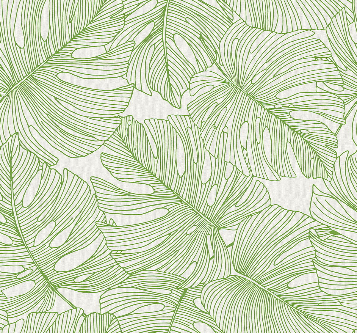 Tarra Monstera Leaf Wallpaper