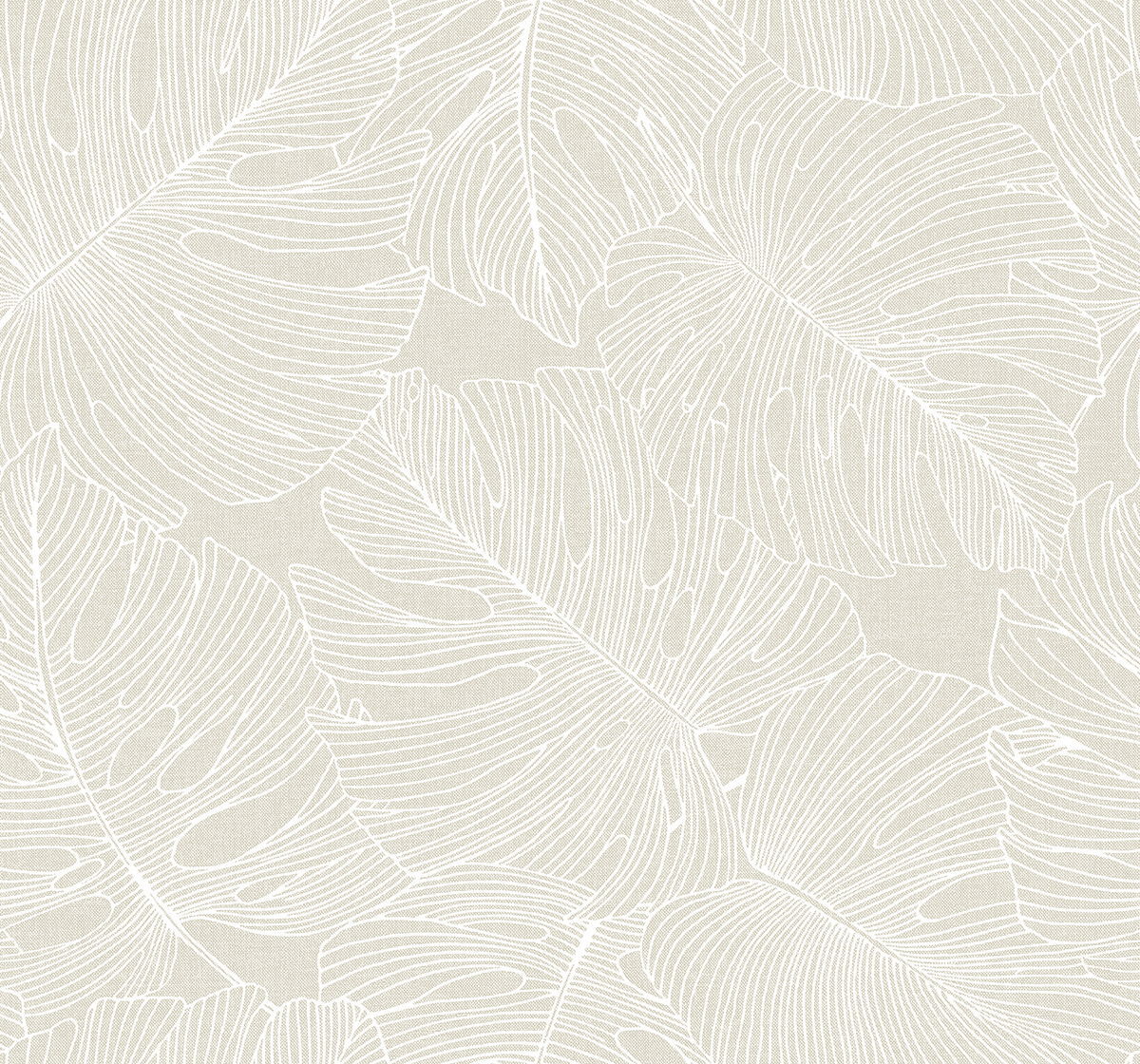 Tarra Monstera Leaf Wallpaper