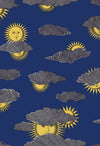 Soli e Nurvole Wallpaper by Cole & Son