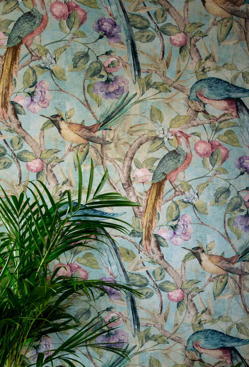 Orangerie Wallpaper by Sidney Paul & Co