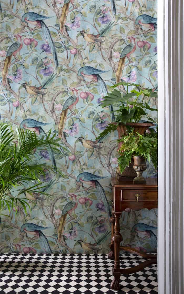 Orangerie Wallpaper by Sidney Paul & Co