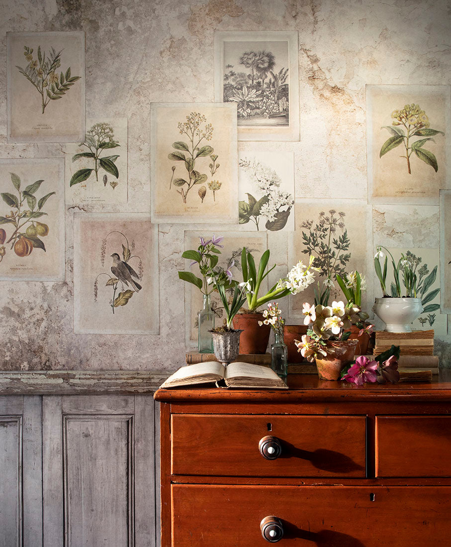 Grand Tour Wallpaper by Sidney Paul & Co