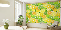 Citrus Fruit Slices Mural by HappyWall