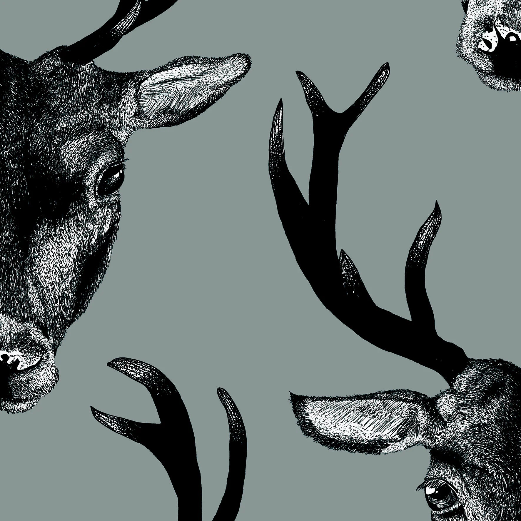 Stag Wallpaper (Large Scale) by Graduate Collection