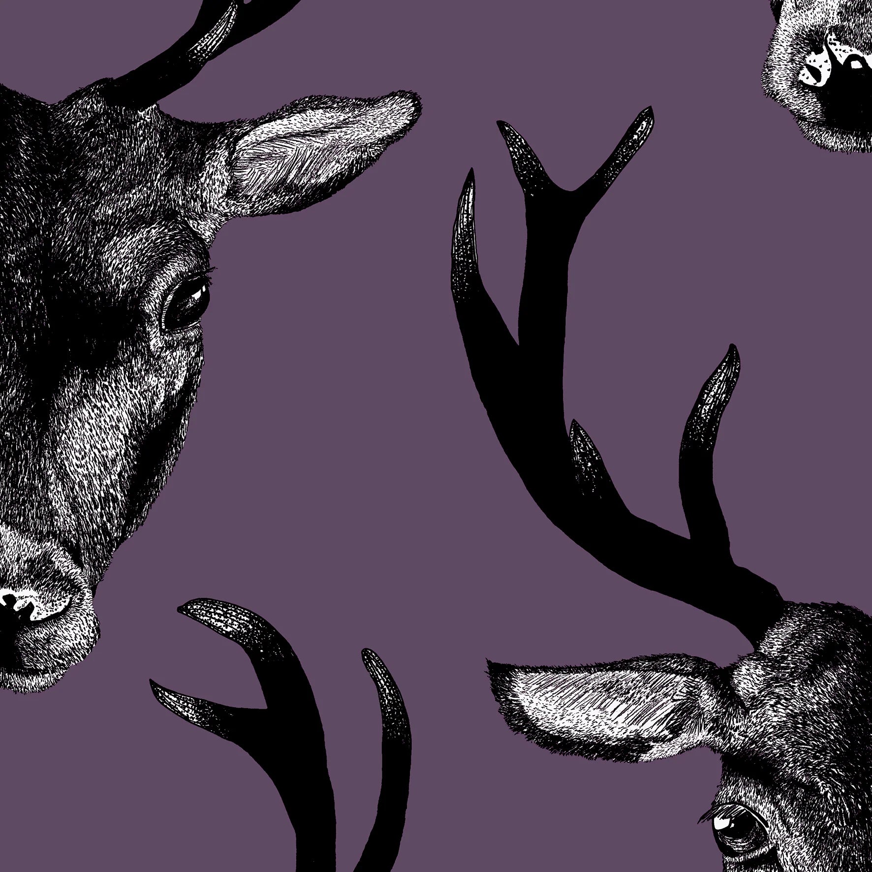 Stag Wallpaper (Large Scale) by Graduate Collection