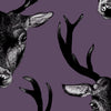 Stag Wallpaper (Large Scale) by Graduate Collection