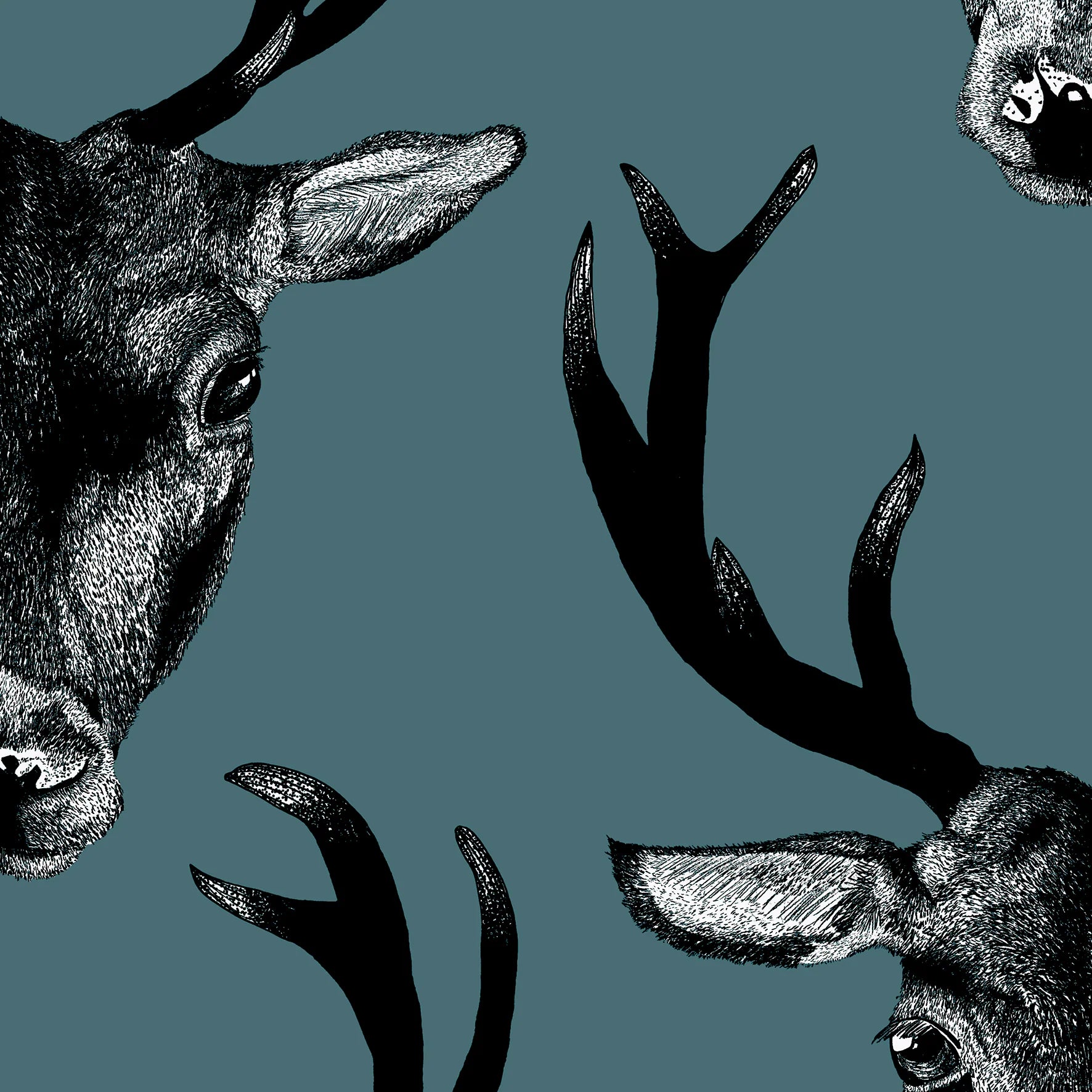 Stag Wallpaper (Large Scale) by Graduate Collection
