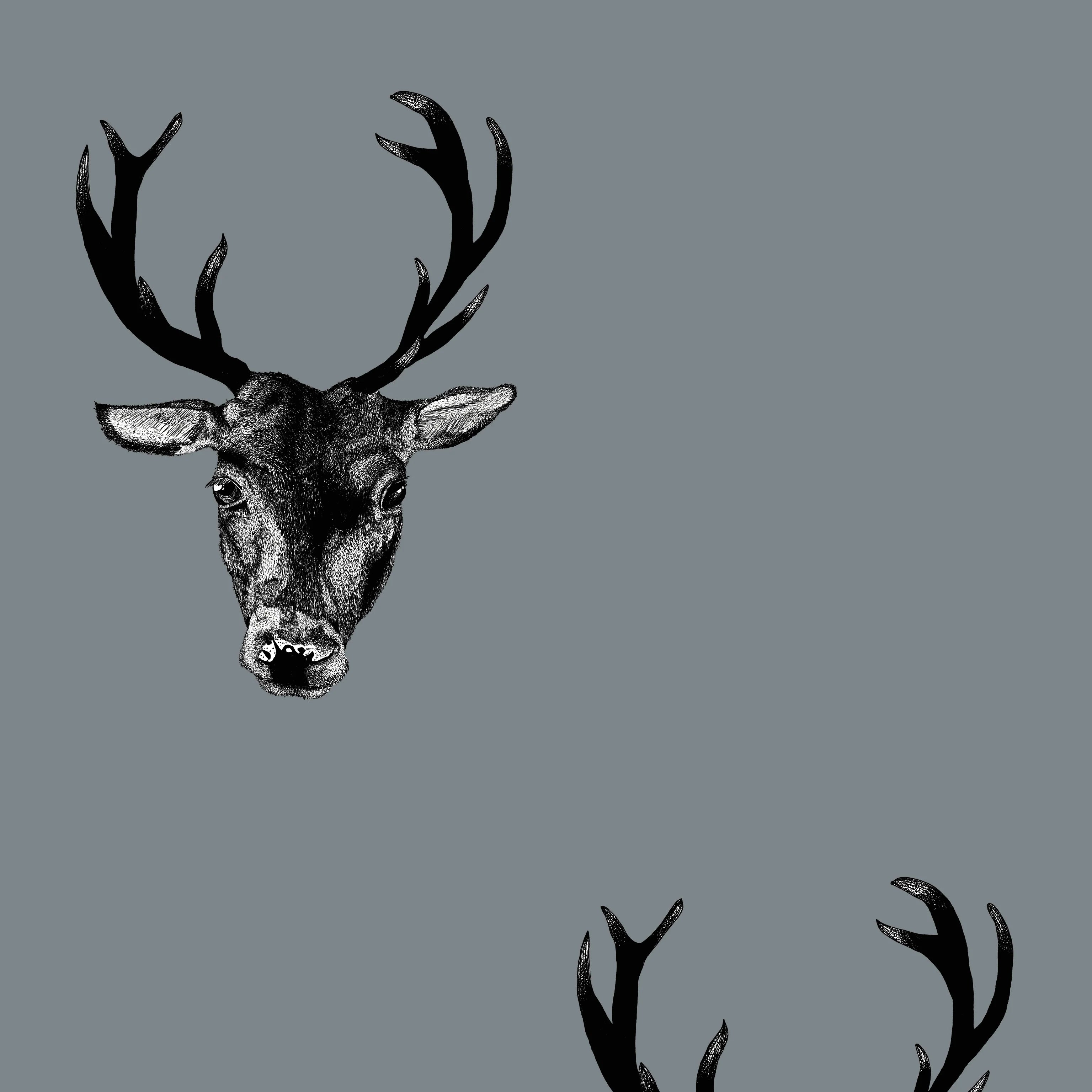 Stag Print Wallpaper ( Small Scale) by Graduate Collection