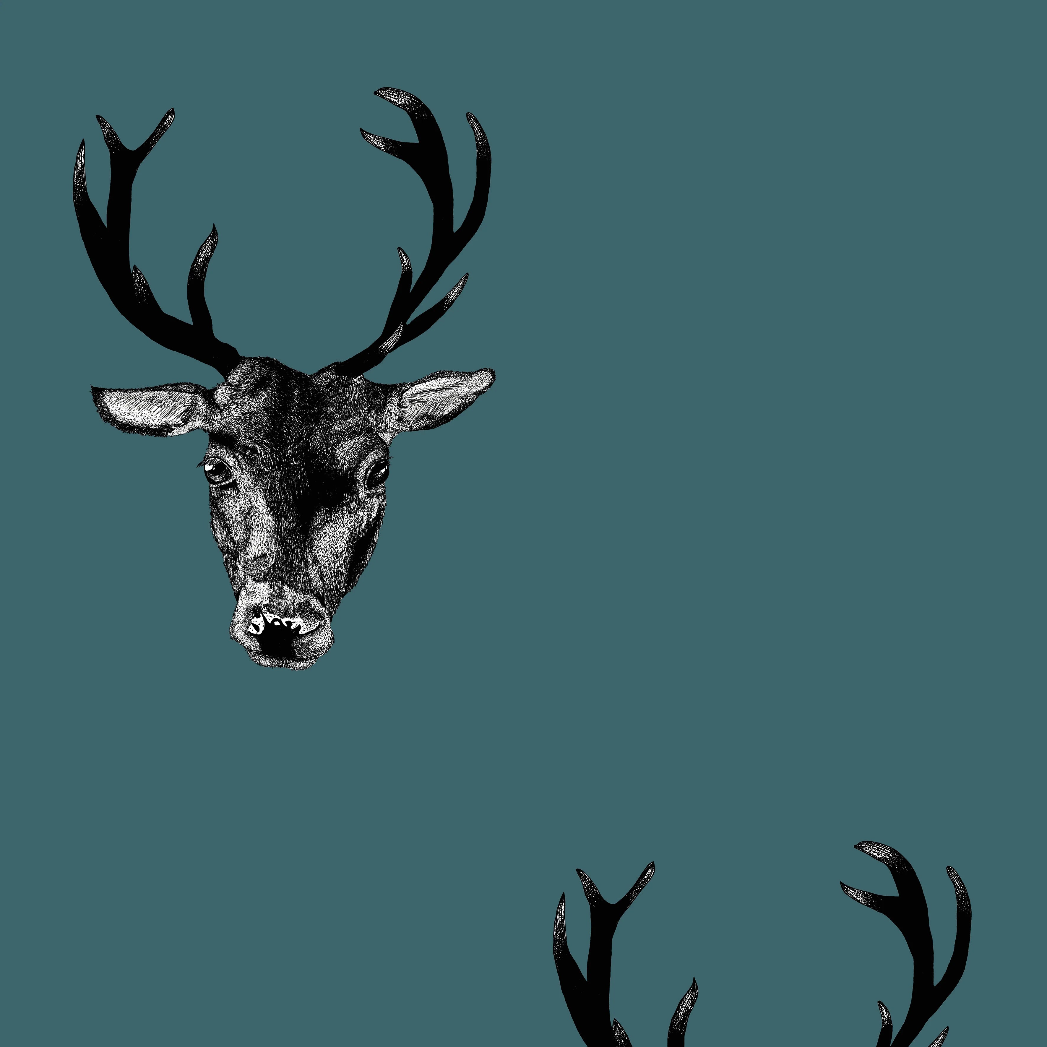 Stag Print Wallpaper ( Small Scale) by Graduate Collection