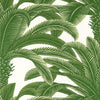 Queen Palm - Palm Grove - Wallpaper