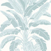 Spa Blue