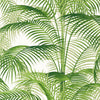 Delray - Palm Grove - Wallpaper