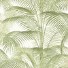 Delray - Palm Grove - Wallpaper