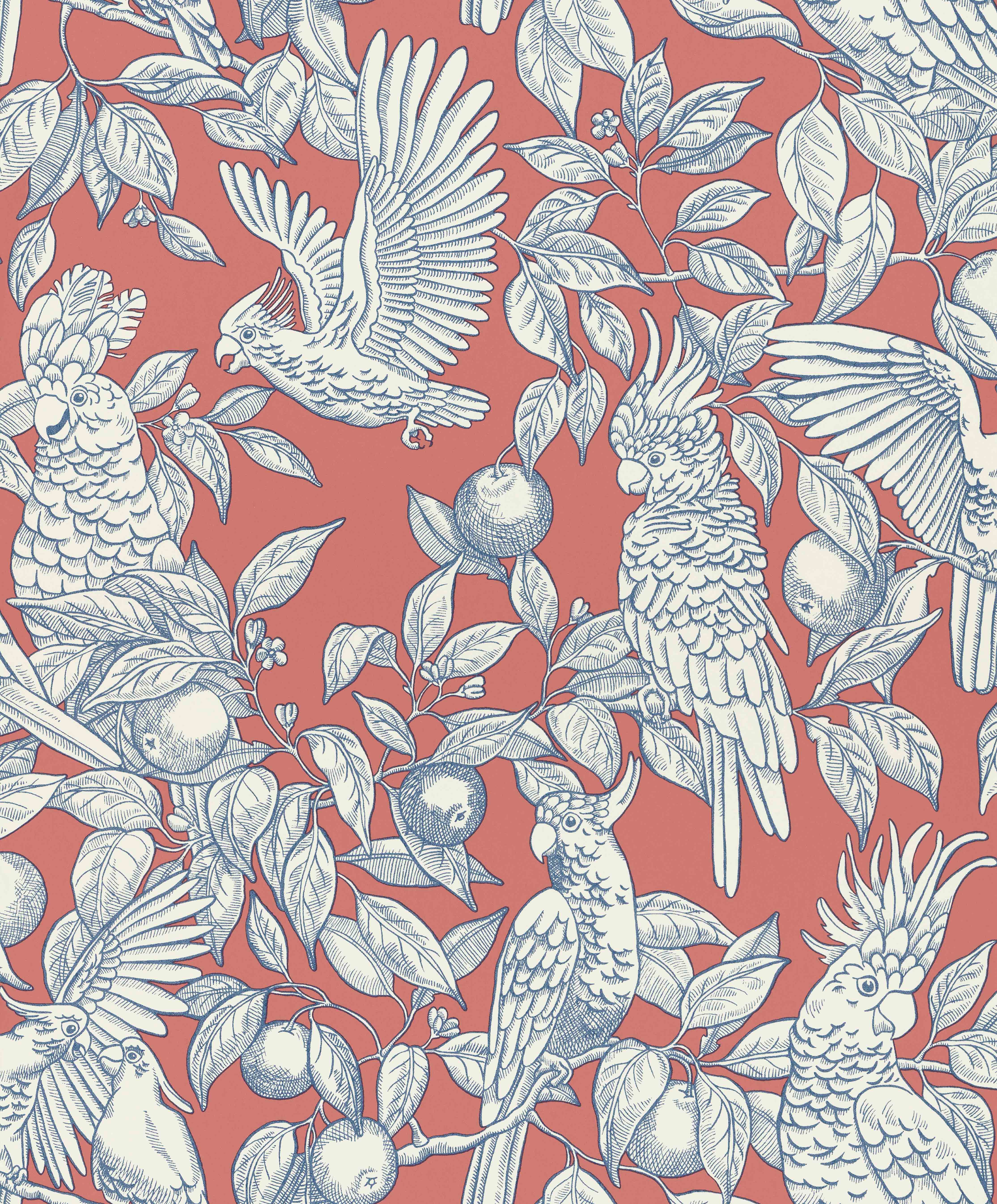 Talk About Cockatoos Wallpaper by Långelid Von Brömssen