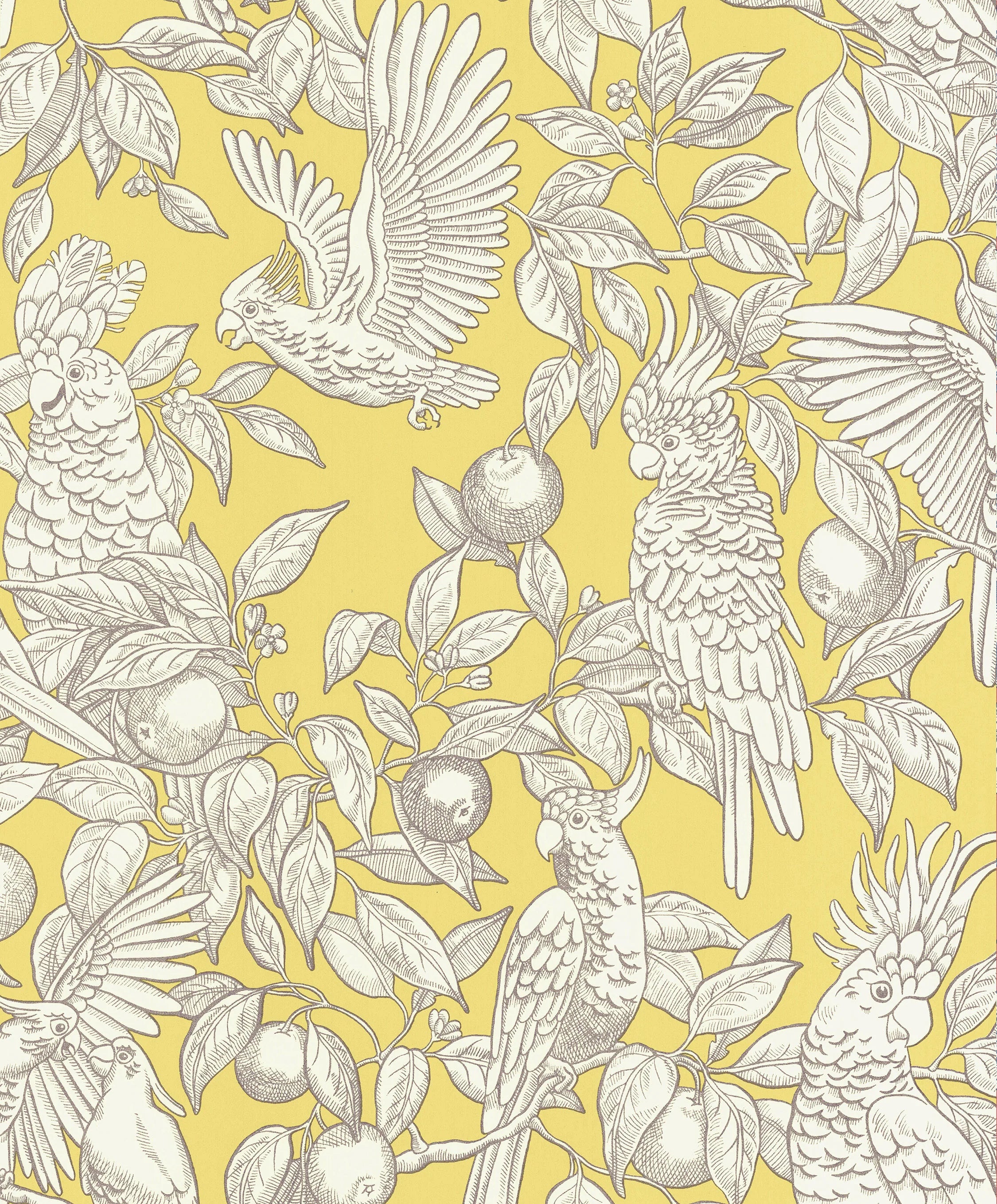 Talk About Cockatoos Wallpaper by Långelid Von Brömssen