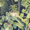 The Green House Wallpaper by Brand McKenzie