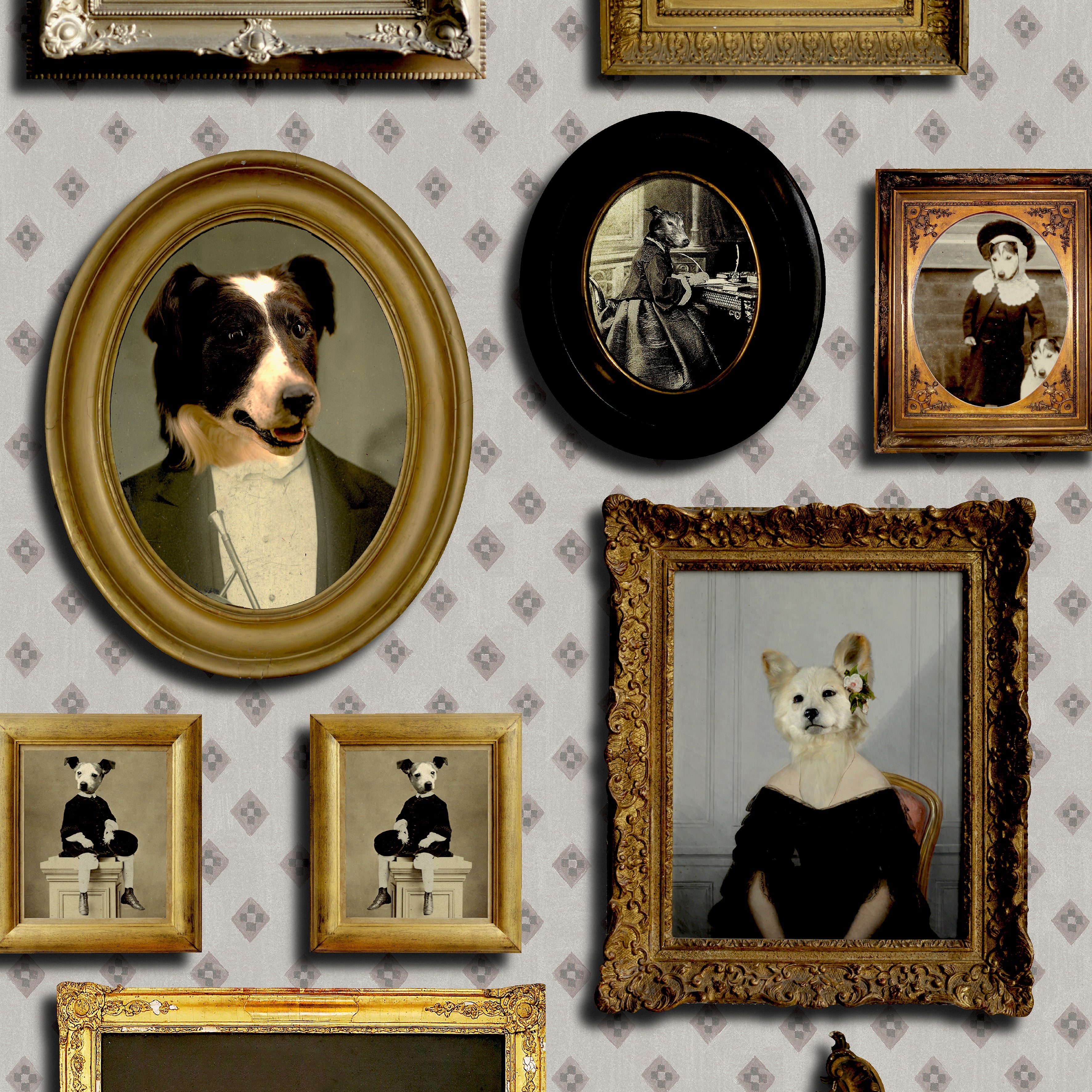 Top Dog Wallpaper by Graduate Collection