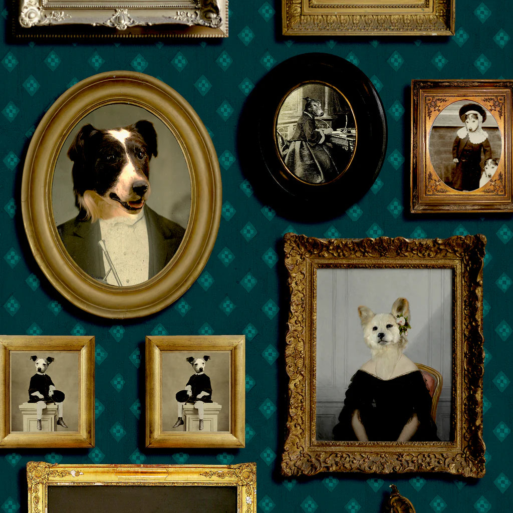 Top Dog Wallpaper by Graduate Collection