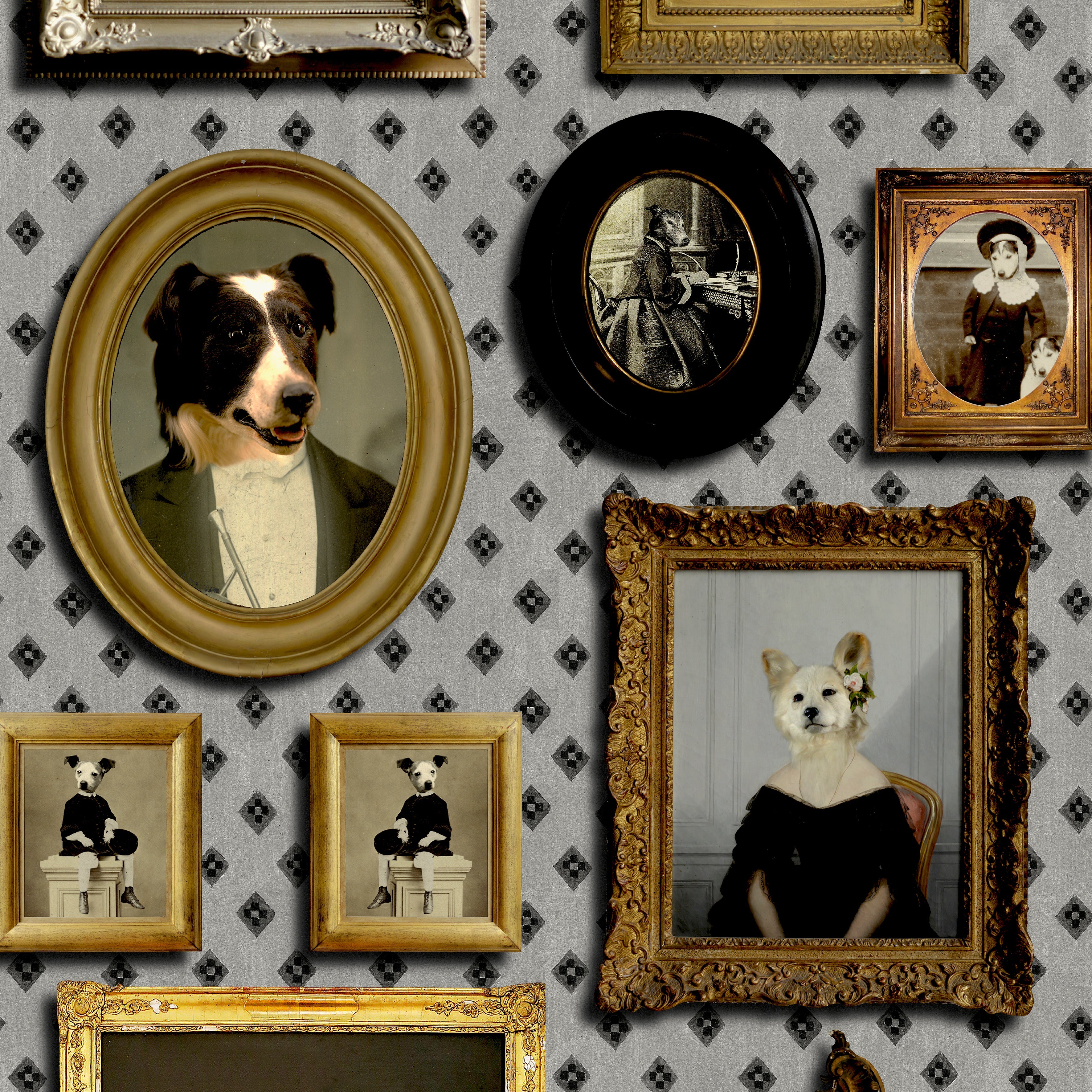 Top Dog Wallpaper by Graduate Collection