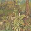 Tropical