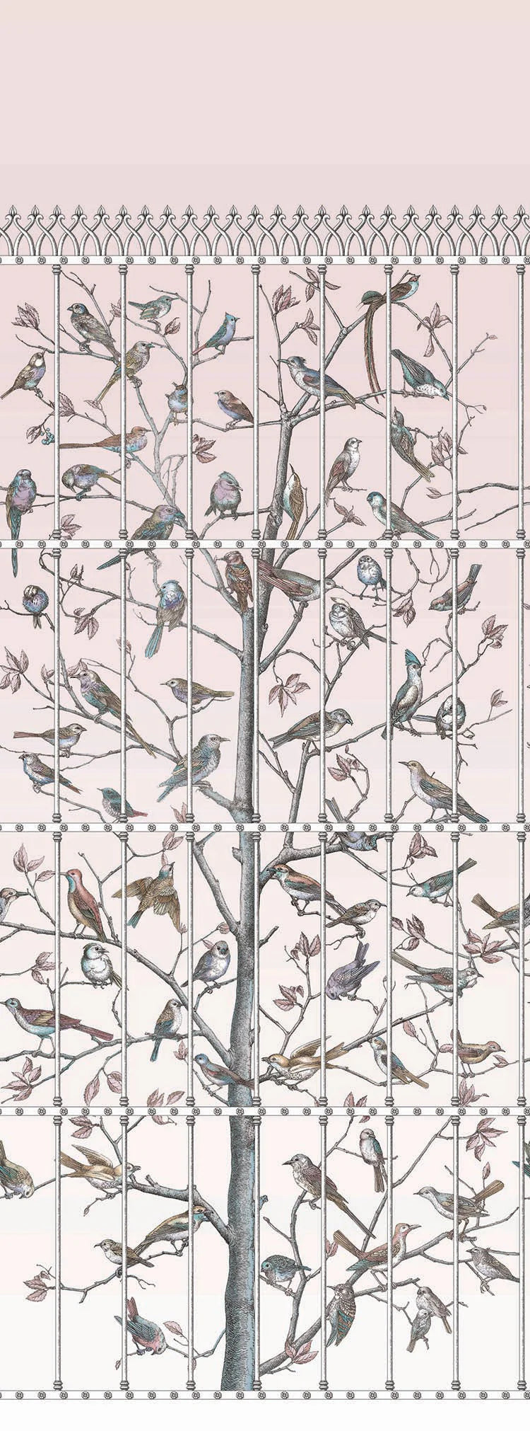 Uccelli Wallpaper by Cole & Son
