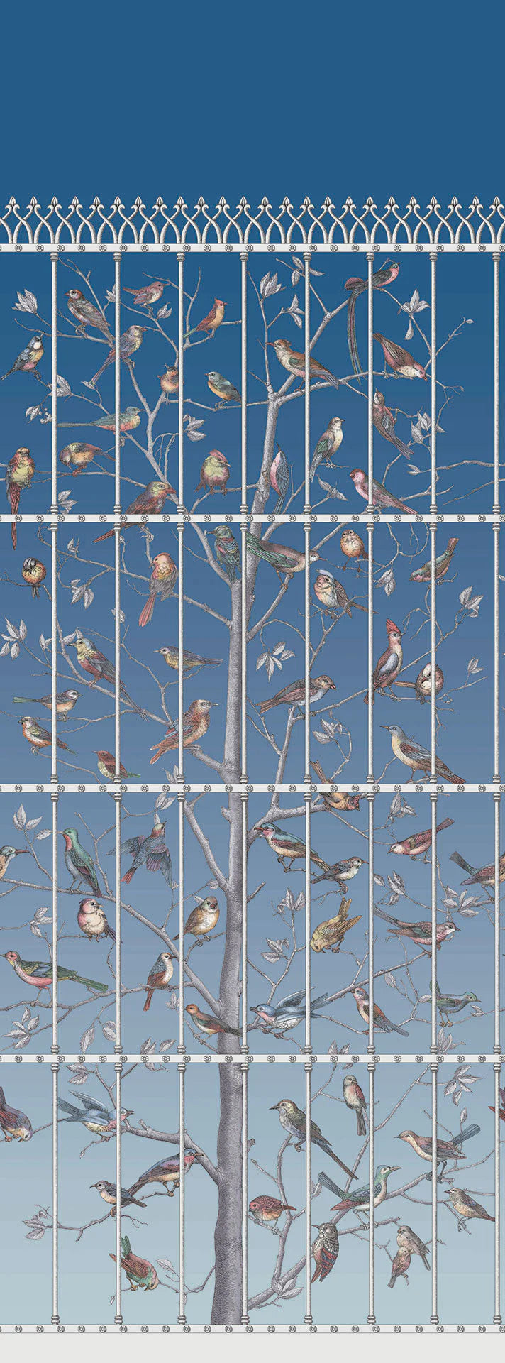 Uccelli Wallpaper by Cole & Son