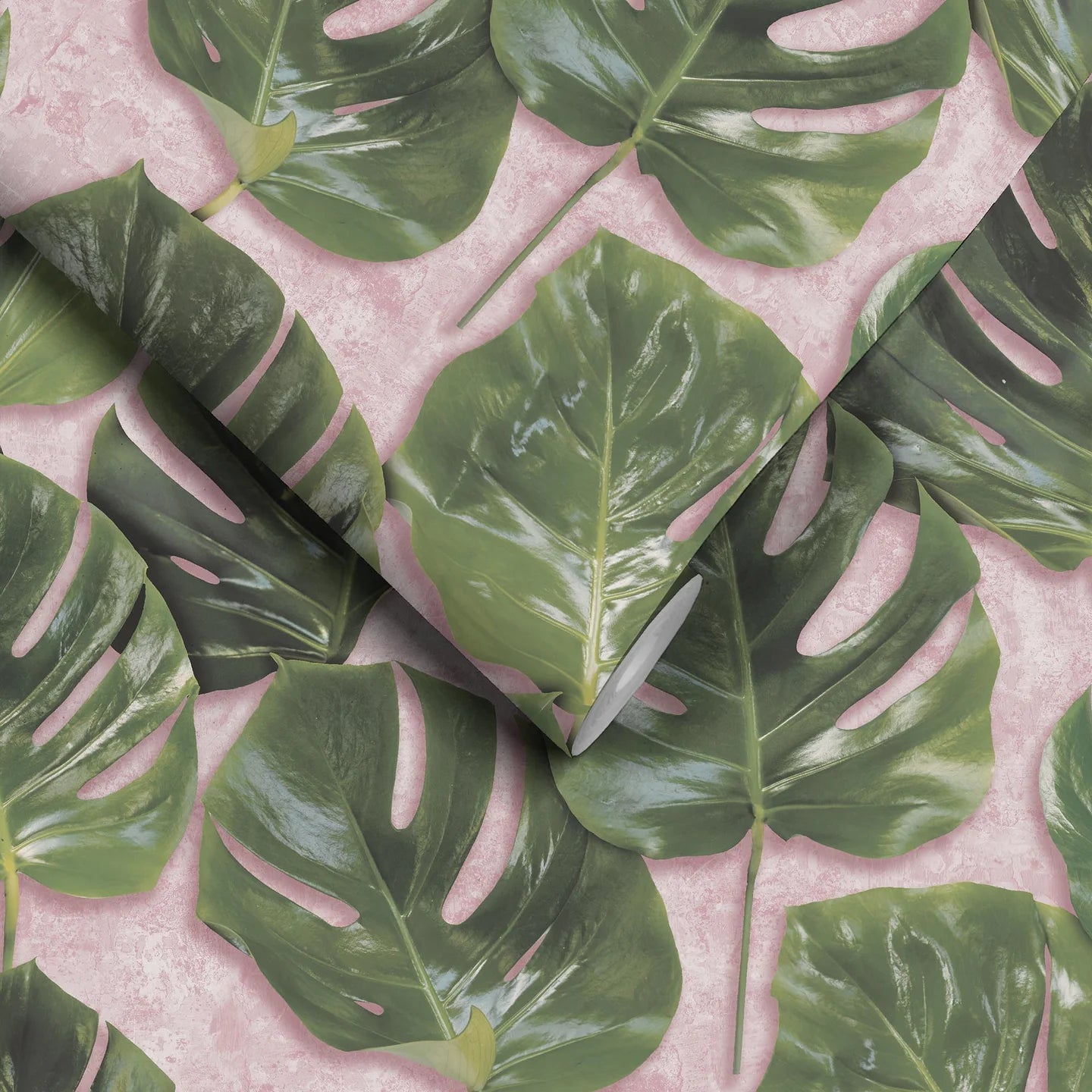 Monstera Wallpaper by Woodchip & Magnolia