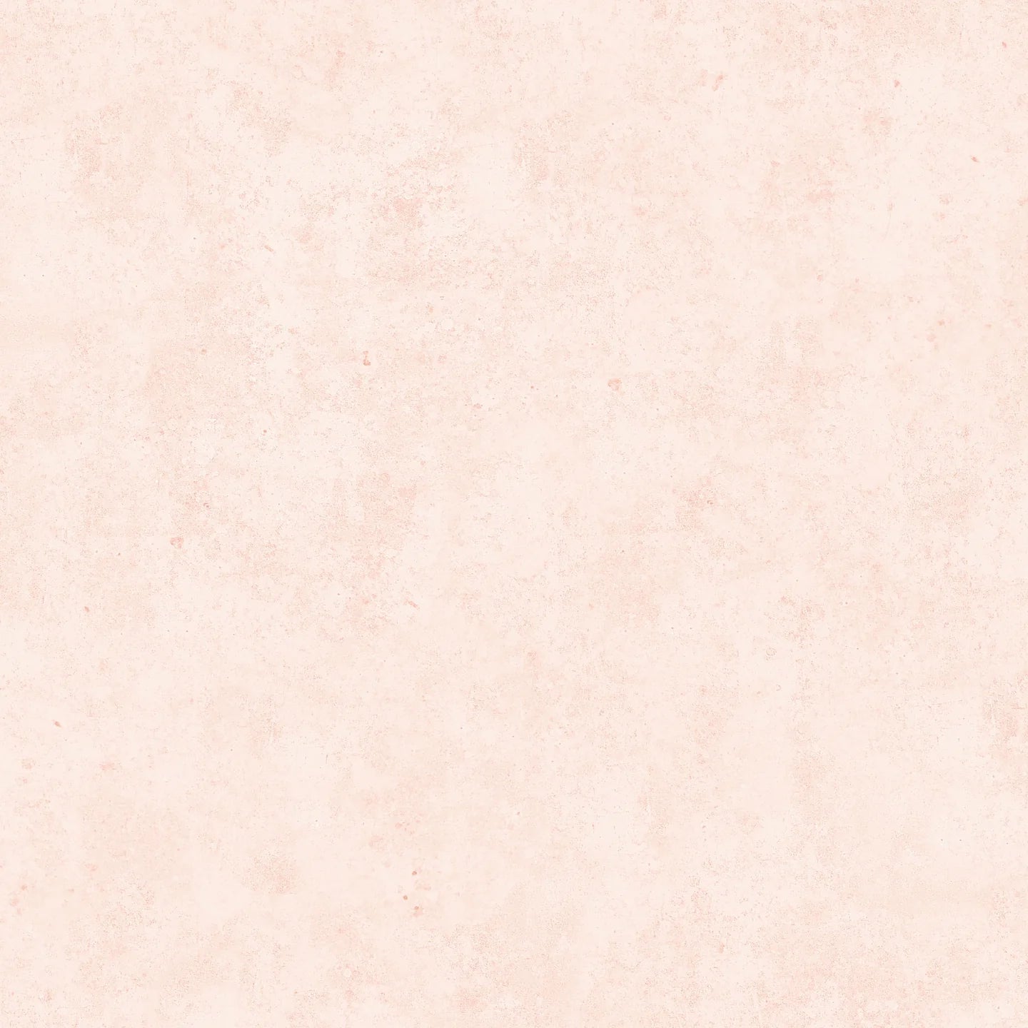 Concrete Blush Wallpaper by Woodchip & Magnolia