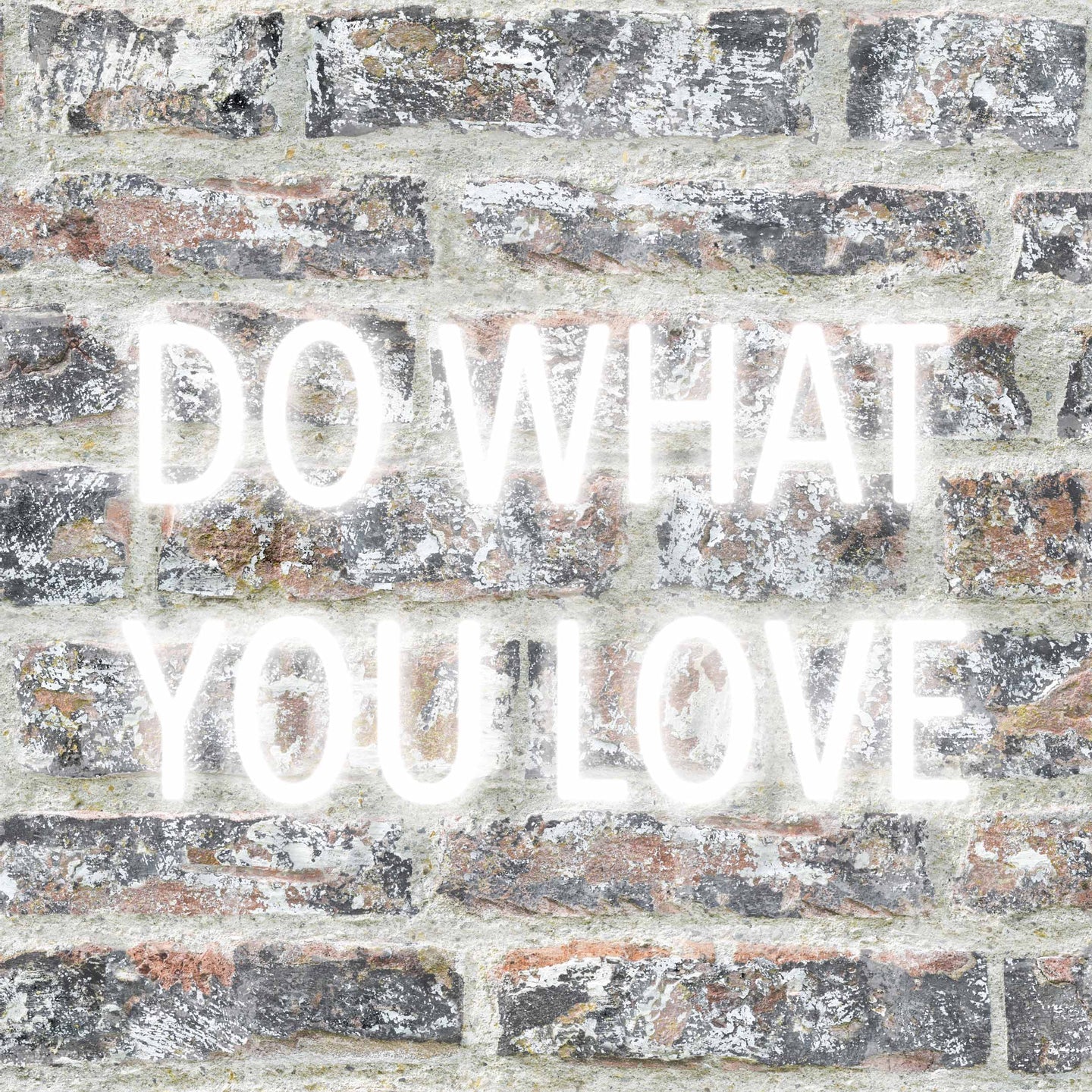 Stay Wild Wallpaper by Woodchip & Magnolia