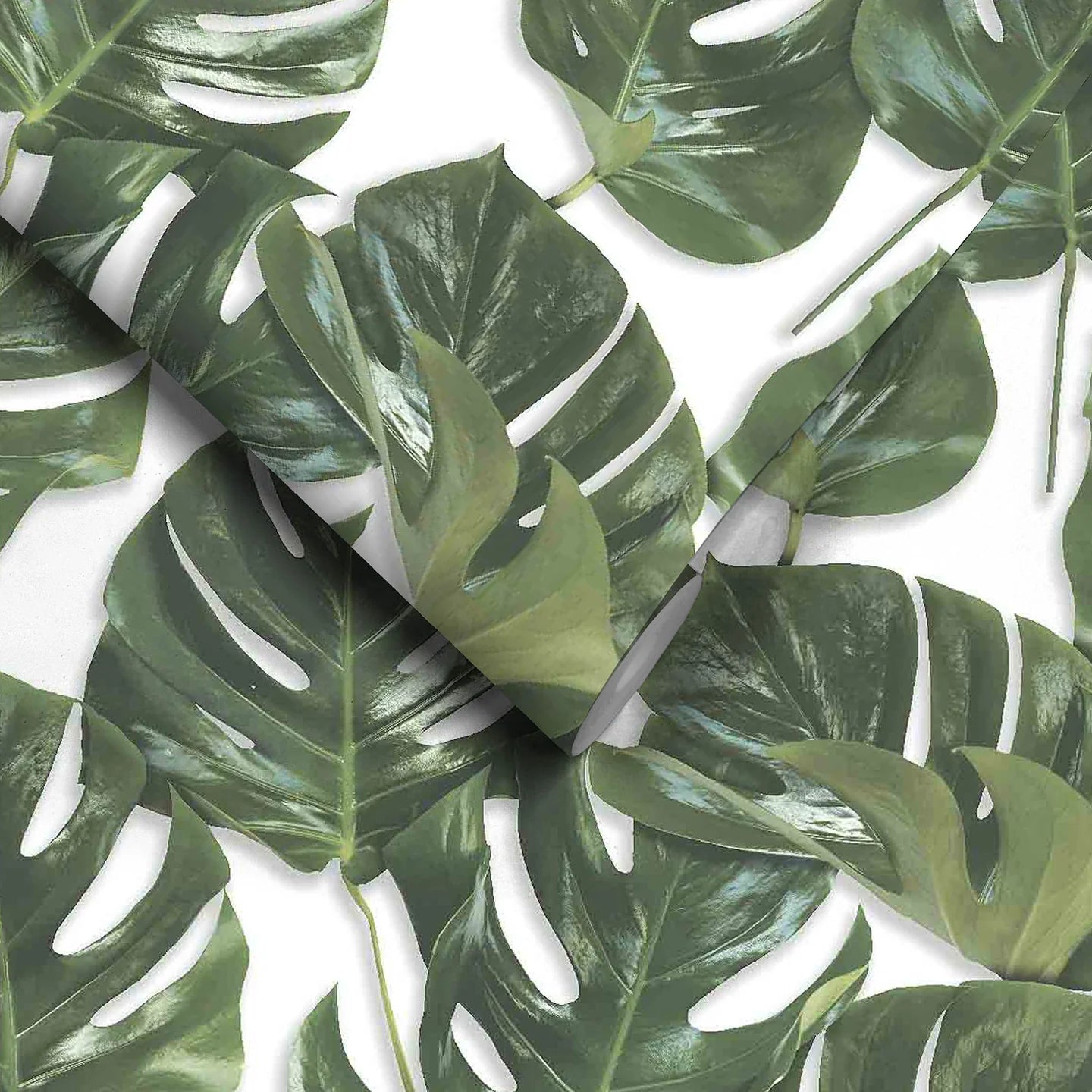 Monstera Wallpaper by Woodchip & Magnolia