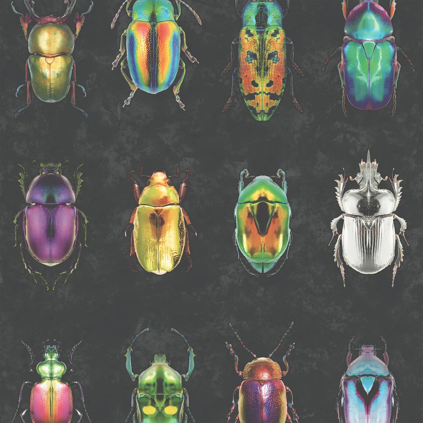 Beetle Jewels Wallpaper by Woodchip & Magnolia