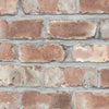 Beeston Grove Wallpaper by Woodchip & Magnolia