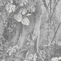 Tropical Paradise Mural by Woodchip & Magnolia