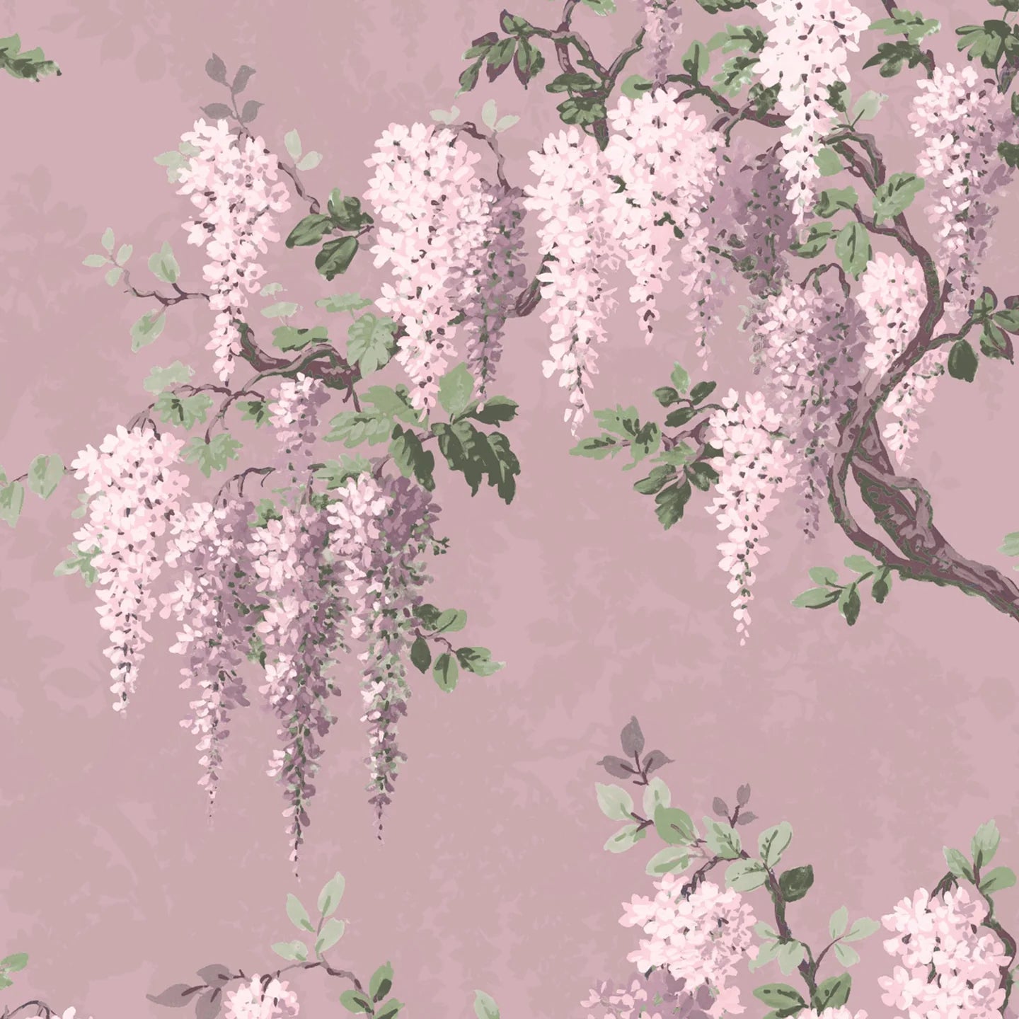 Wisteria Wallpaper by Woodchip & Magnolia