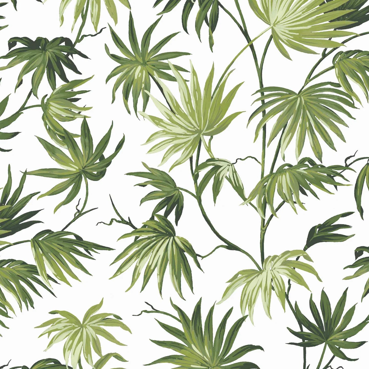 Va Va Frome Wallpaper by Woodchip & Magnolia
