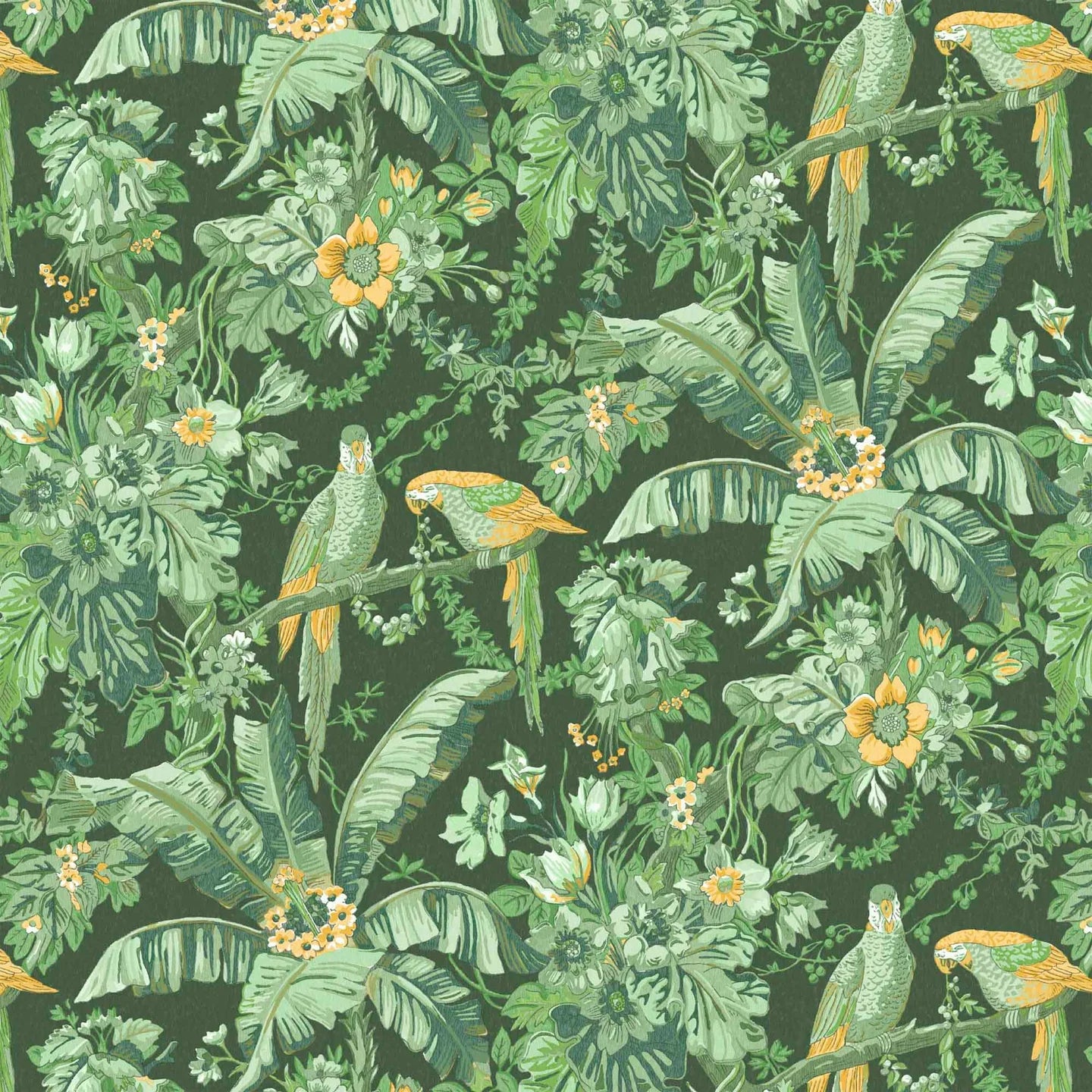 Parrot Talk Wallpaper by Woodchip & Magnolia