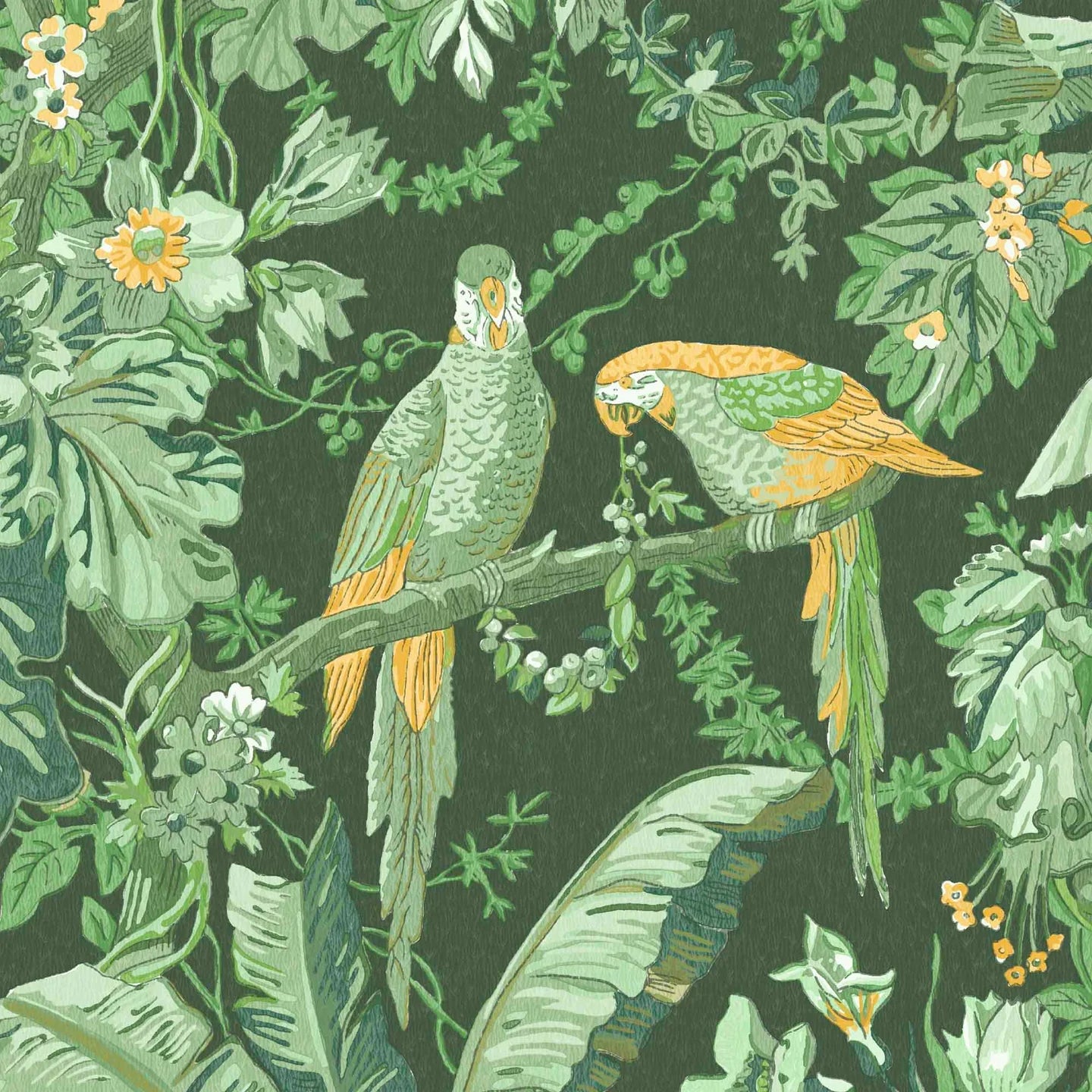 Parrot Talk Wallpaper by Woodchip & Magnolia