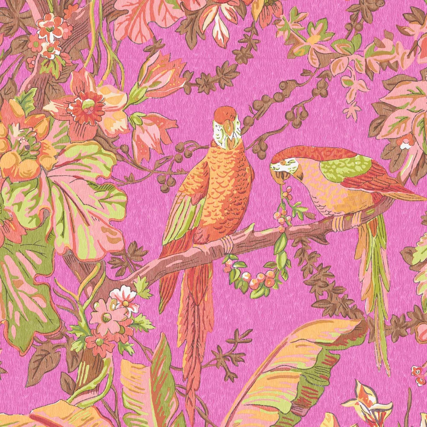 Parrot Talk Wallpaper by Woodchip & Magnolia