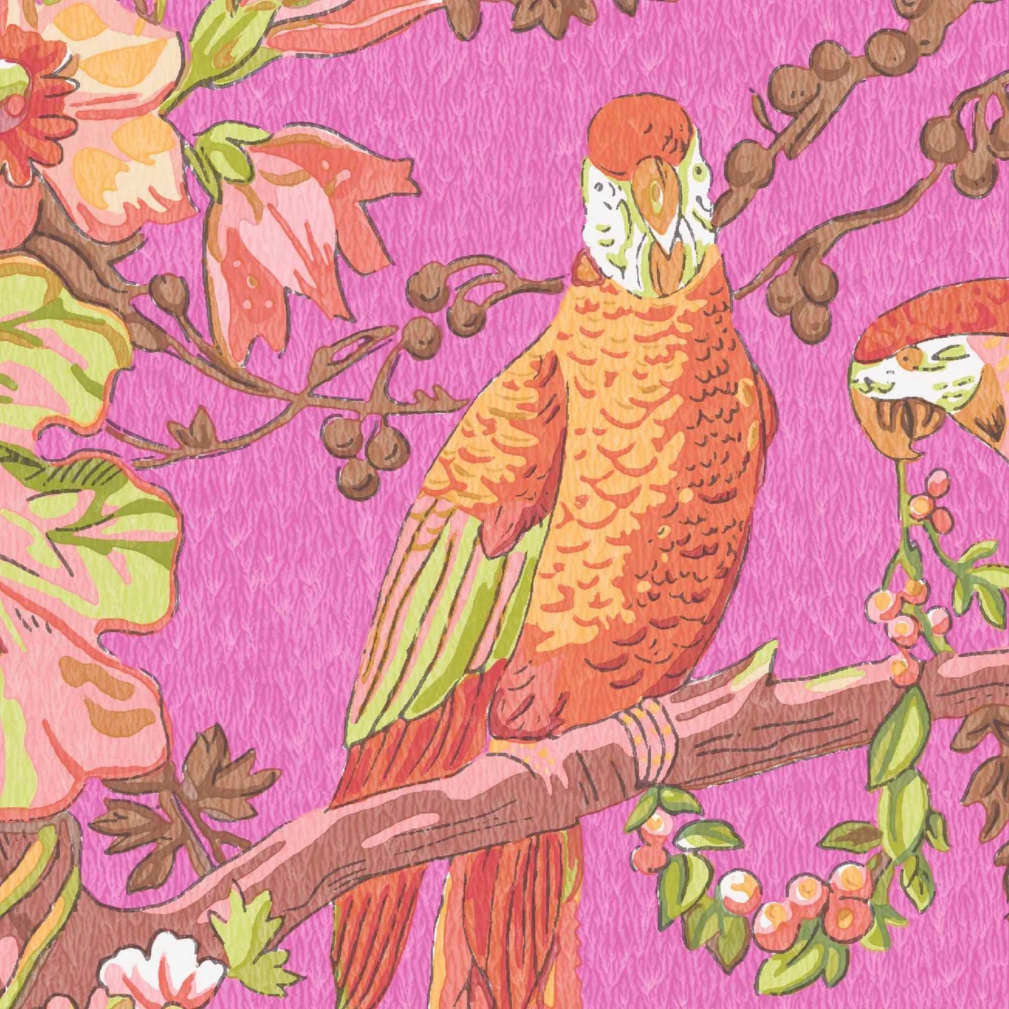 Parrot Talk Wallpaper by Woodchip & Magnolia