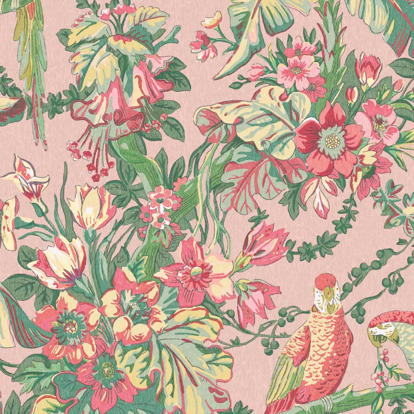 Parrot Talk Wallpaper by Woodchip & Magnolia