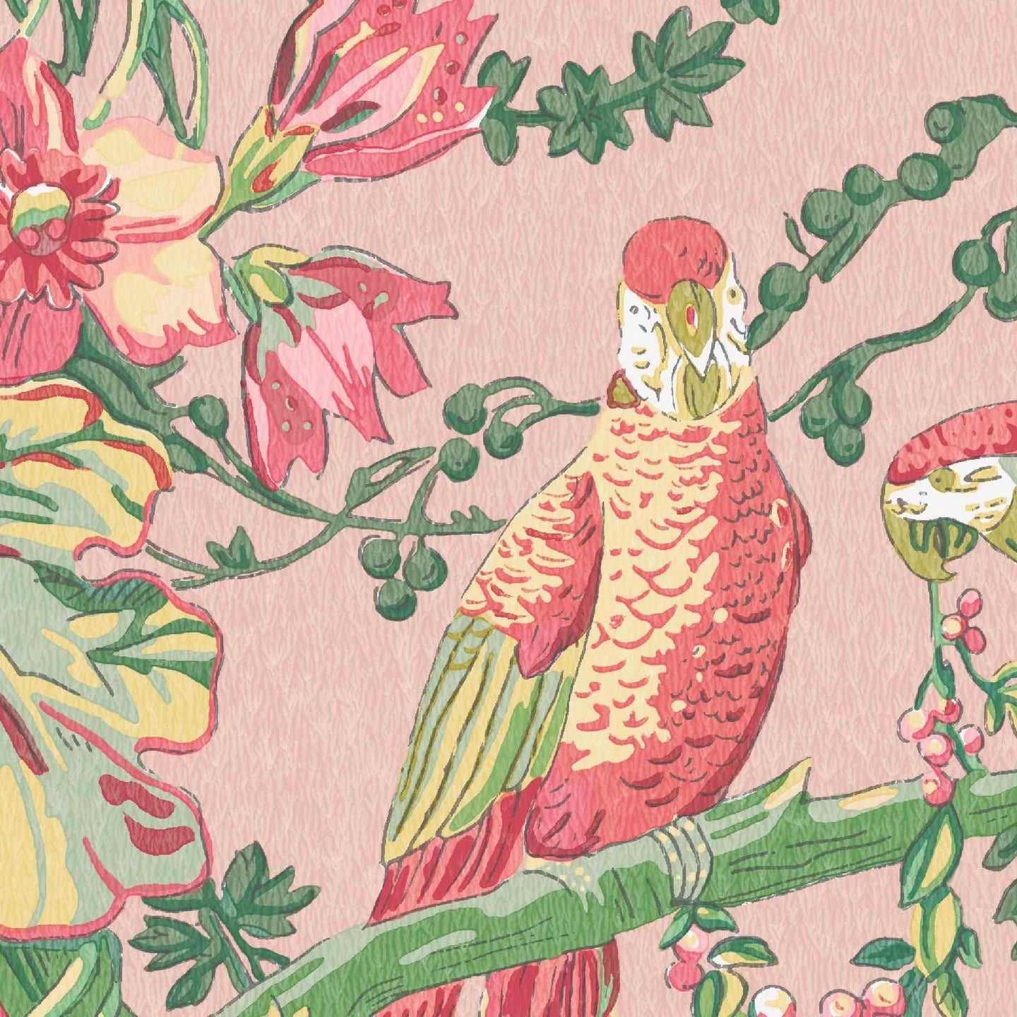Parrot Talk Wallpaper by Woodchip & Magnolia