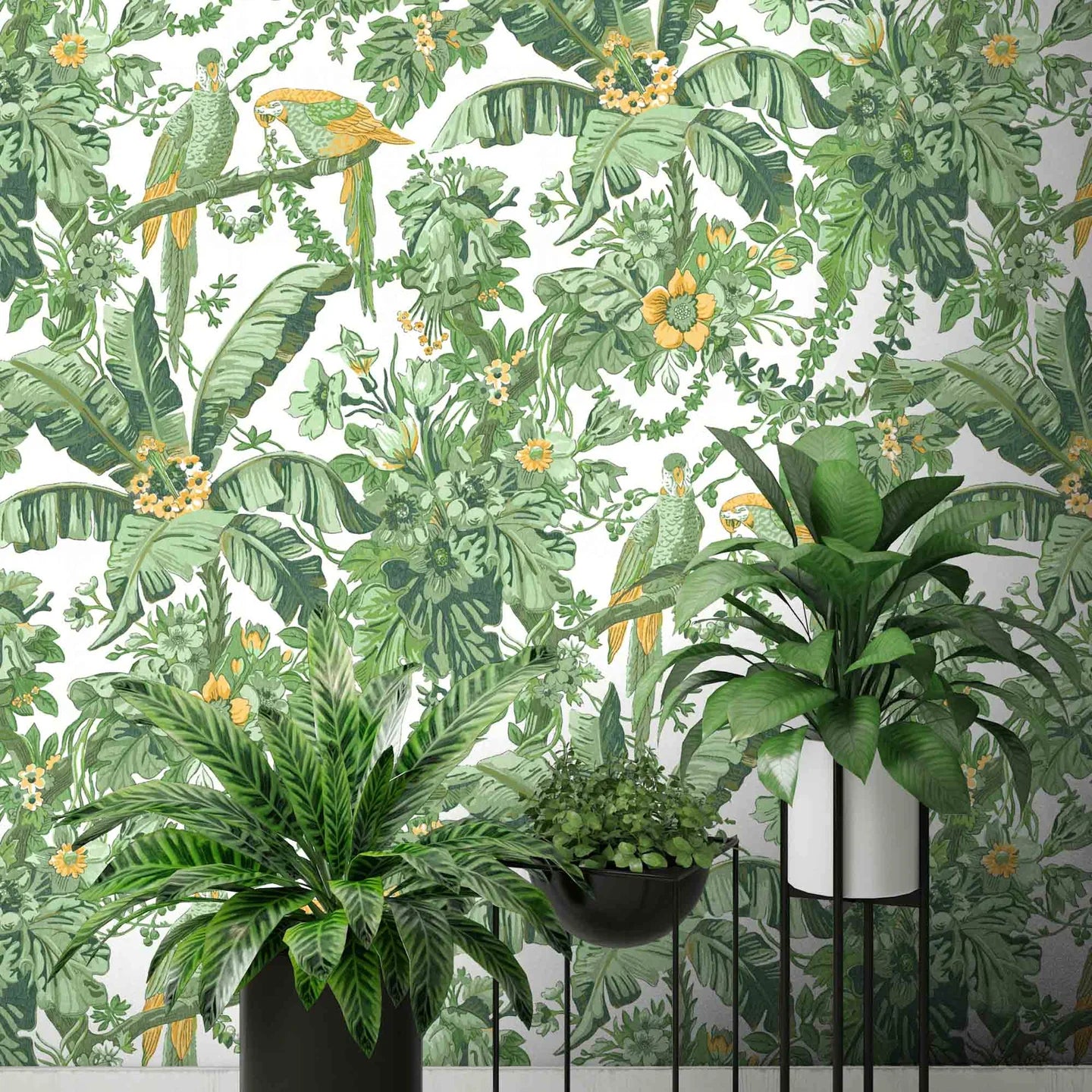 Parrot Talk Wallpaper by Woodchip & Magnolia