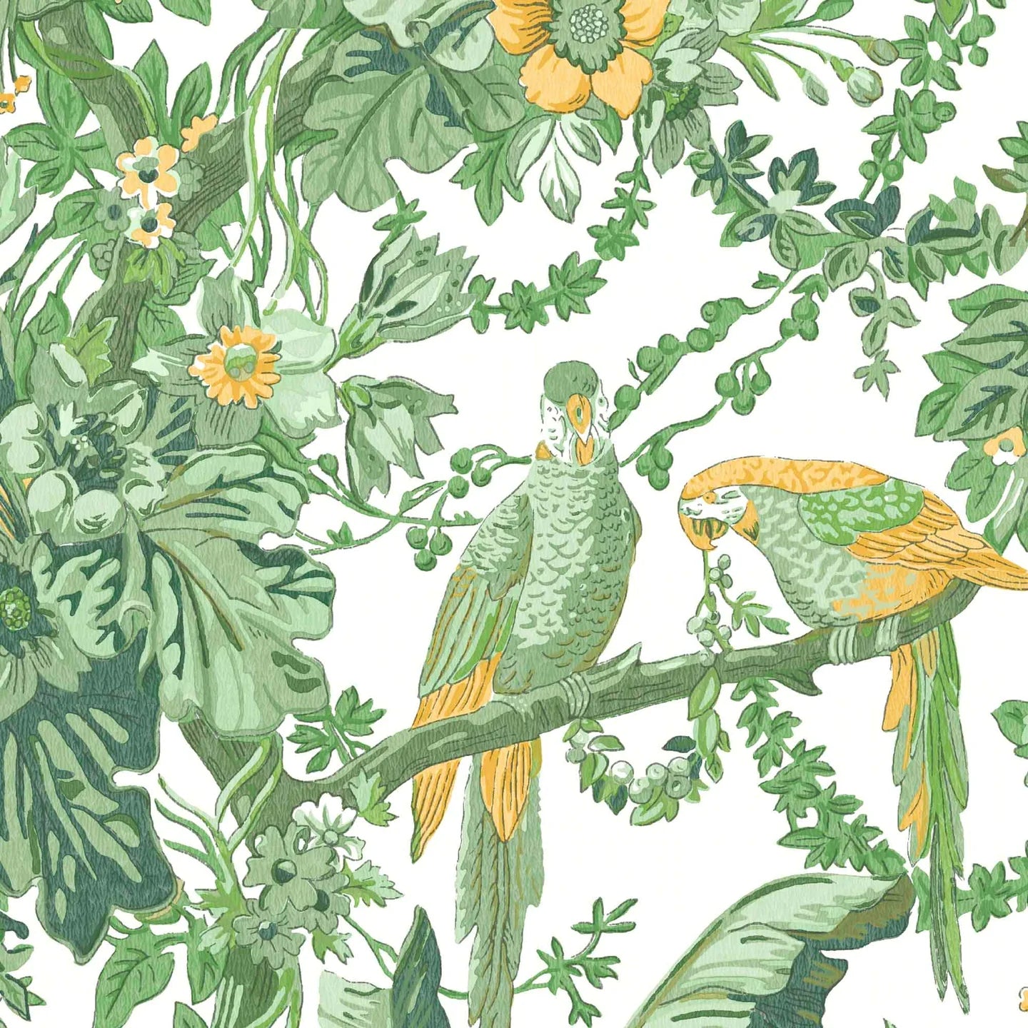 Parrot Talk Wallpaper by Woodchip & Magnolia