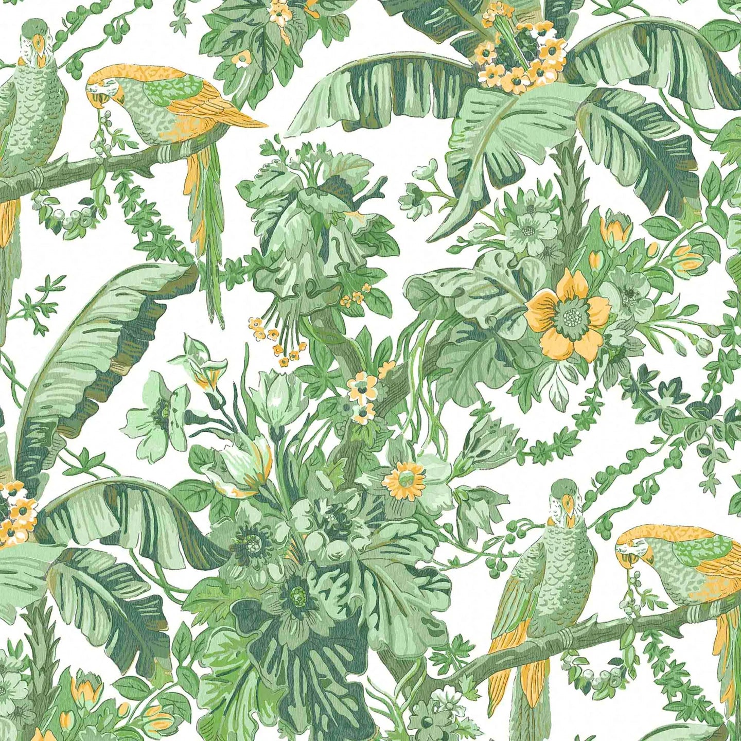 Parrot Talk Wallpaper by Woodchip & Magnolia