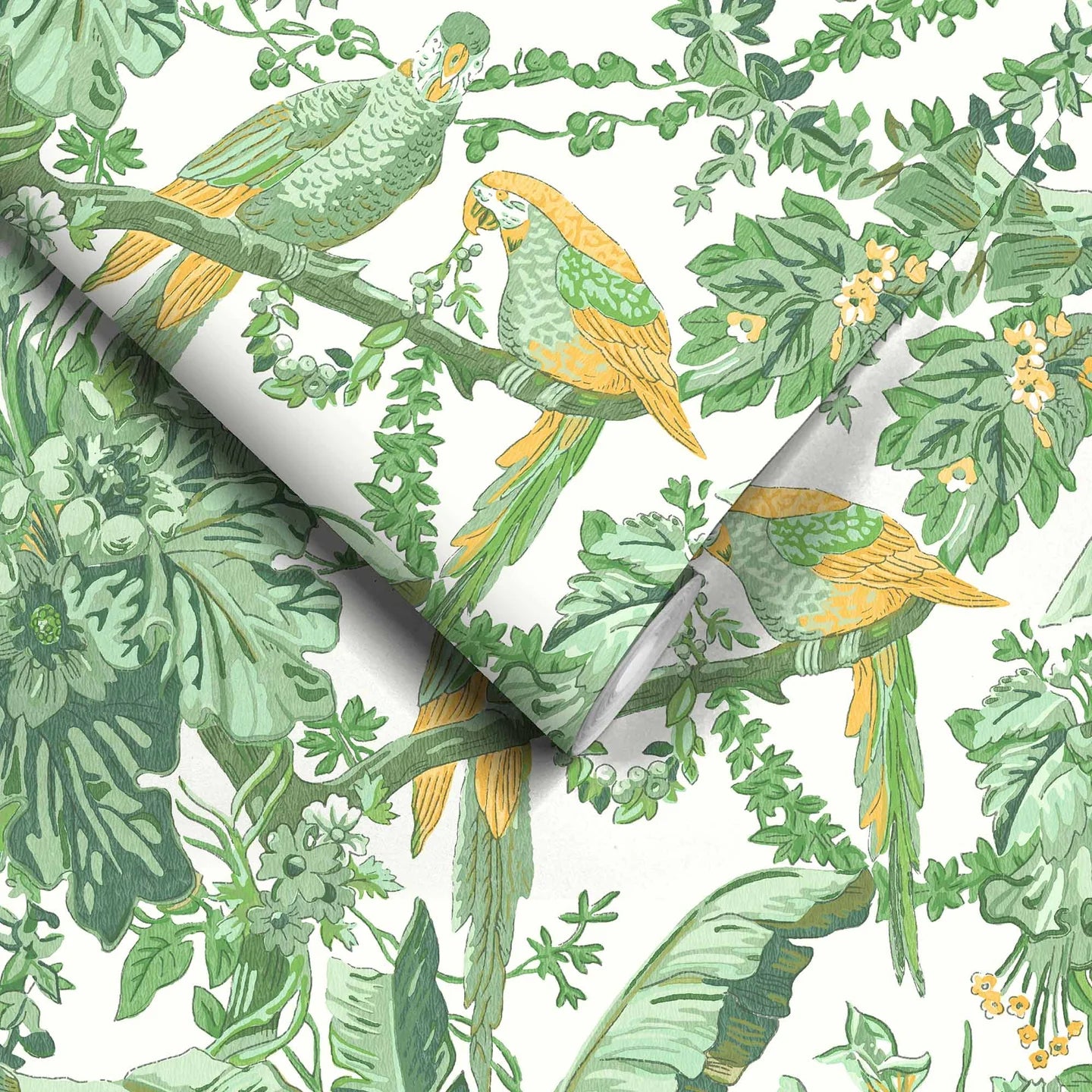 Parrot Talk Wallpaper by Woodchip & Magnolia