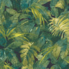 Tropic