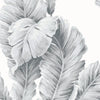 Dove Grey